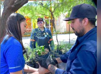 Invita Gobierno de Hermosillo a jornada de entrega gratuita de árboles nativos