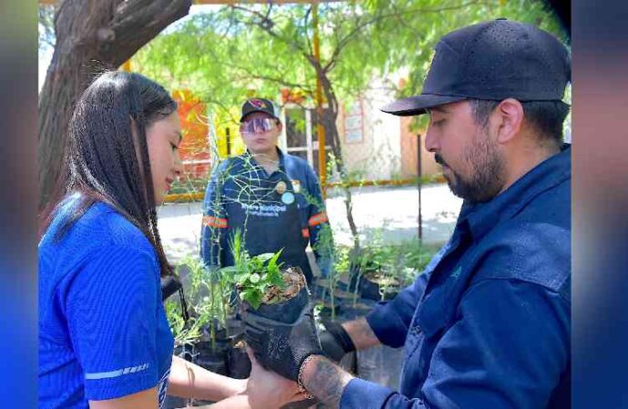 Invita Gobierno de Hermosillo a jornada de entrega gratuita de árboles nativos