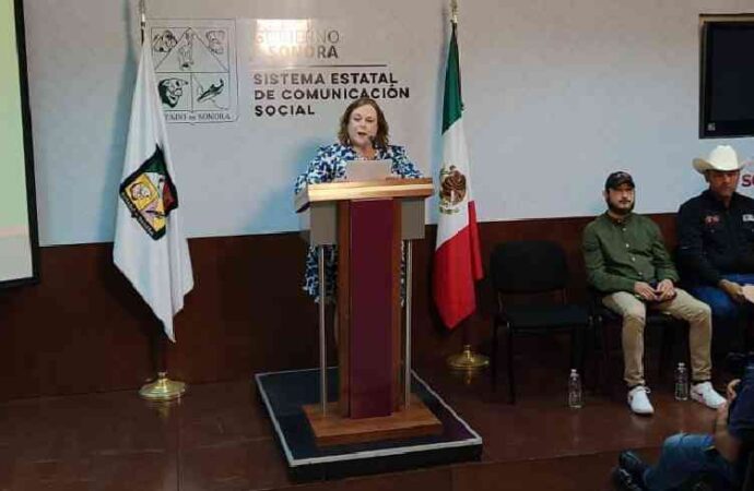 Habrá actividades culturales y recreativas para familias en vacaciones