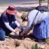 Supera Ciudadanía Activa 350 jornadas de reforestación en Villa de Seris