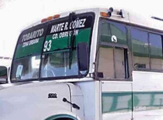 Precio tope del diésel alivia costos, pero transportistas siguen operando con pérdidas