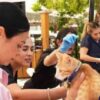 Llevarán jornada de esterilización animal a Punta Chueca