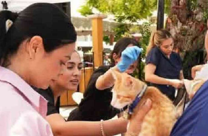 Llevarán jornada de esterilización animal a Punta Chueca