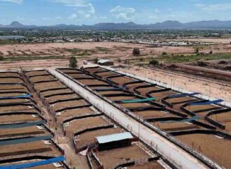 Ampliación de la cuarentenaria de Agua Prieta beneficia la exportación de carne