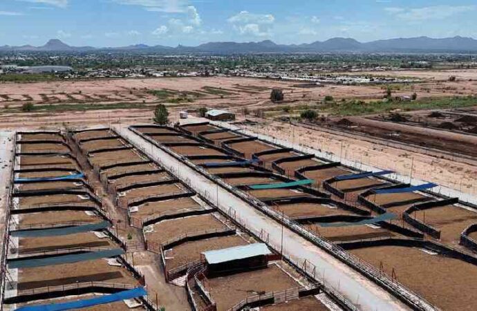 Ampliación de la cuarentenaria de Agua Prieta beneficia la exportación de carne