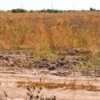 Lluvias dan respiro al sur de Sonora: presas del río Yaqui recuperan almacenamiento