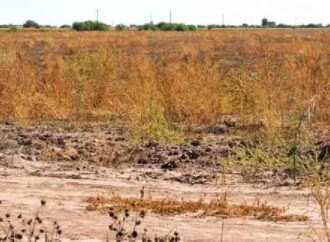 Lluvias dan respiro al sur de Sonora: presas del río Yaqui recuperan almacenamiento