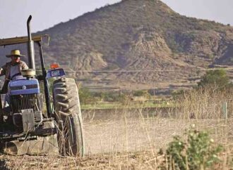 Productores venden maquinaria y tierras para sobrevivir a la crisis del campo: Alcano