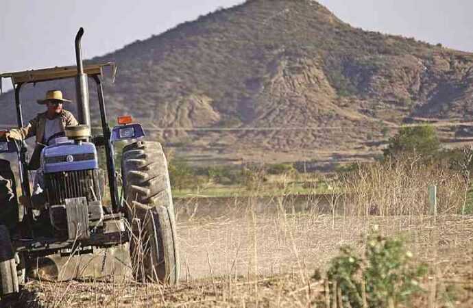 Productores venden maquinaria y tierras para sobrevivir a la crisis del campo: Alcano