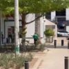 Ola de calor eleva temperaturas en Sonora