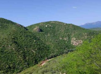 Pronostican lluvias para la zona serrana de Sonora