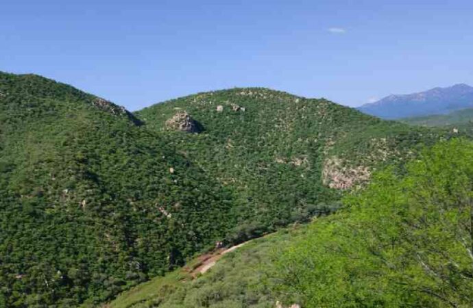 Pronostican lluvias para la zona serrana de Sonora