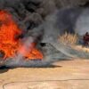 El 80% de los incendios en lotes baldíos son provocados por la actividad humana