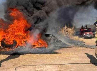 El 80% de los incendios en lotes baldíos son provocados por la actividad humana