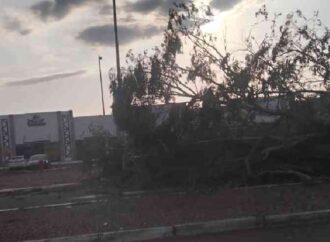 Vientos y lluvias dejan daños en Cajeme; Protección Civil pide extremar precauciones