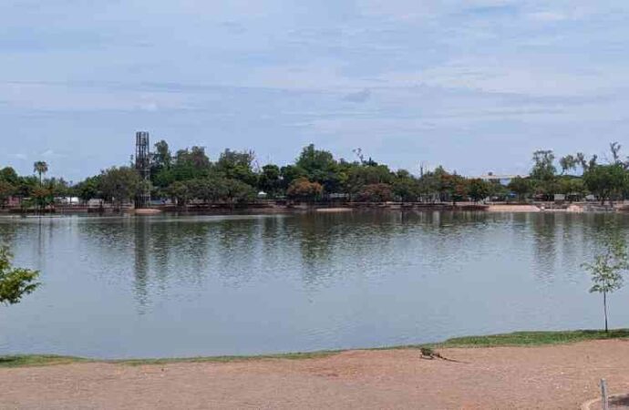 Secar la Laguna del Náinari sigue como opción para combatir al pez diablo
