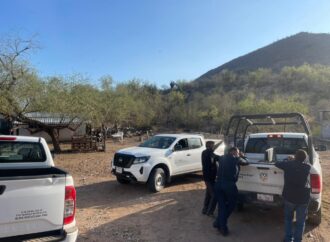 Asegura SAGARHPA y CONAPESCA 395 kilos de tilapia durante operativo contra la pesca ilegal en El Oviáchic