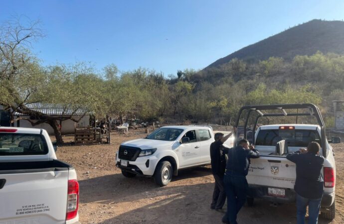 Asegura SAGARHPA y CONAPESCA 395 kilos de tilapia durante operativo contra la pesca ilegal en El Oviáchic