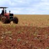 Productores del sur de Sonora enfrentan pérdidas por desplome en rendimientos de trigo y maíz