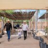 Gobernador Durazo reaviva Centro Ecológico de Sonora; se registran 73 nacimientos en 2026