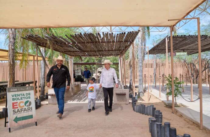 Gobernador Durazo reaviva Centro Ecológico de Sonora; se registran 73 nacimientos en 2026