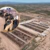 México busca exportar 400 mil reses a EE.UU. tras la reapertura gradual de la frontera ganadera