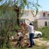 Trabajan en el desazolve de alcantarillas por lluvias del fin de semana