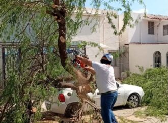 Trabajan en el desazolve de alcantarillas por lluvias del fin de semana