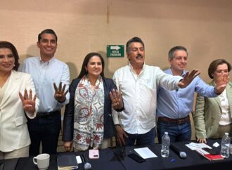 A finales de agosto se aplicará la encuesta de Morena