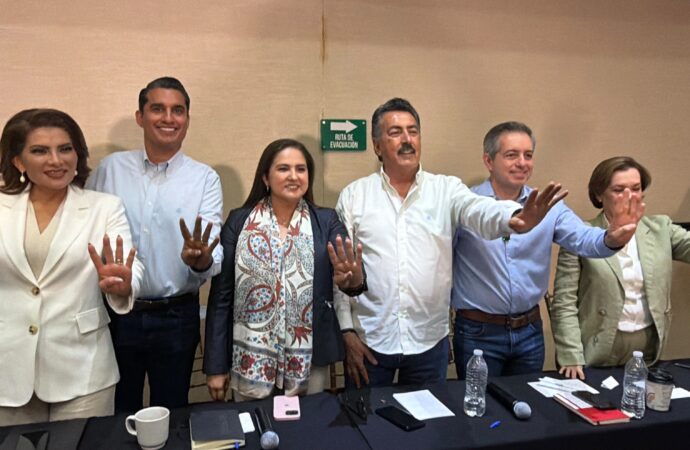 A finales de agosto se aplicará la encuesta de Morena