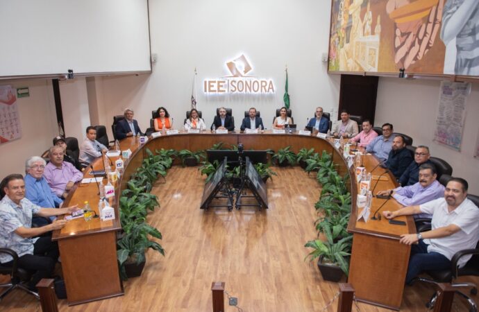Aprueban lineamientos para la elección de consejos municipales