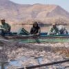Buscan recuperar producción de tilapia en embalses de Sonora