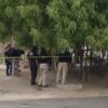 Detonaciones provocan operativo policiaco al poniente de Hermosillo
