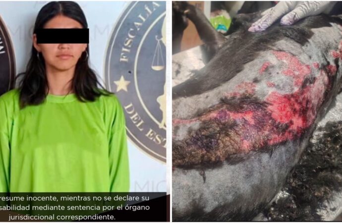 Mujer acusada de quemar con agua hirviendo a la perrita “Deysi” en Hermosillo