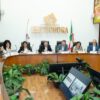 Aprueban la acreditación del Partido Paz en Sonora