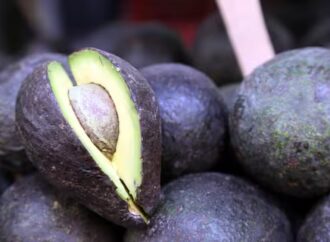 Productores de California piden limitar importaciones de aguacate mexicano durante su temporada de cosecha 