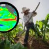 Súper Niño amenaza al campo de Sonora con cambios en lluvias y temperaturas