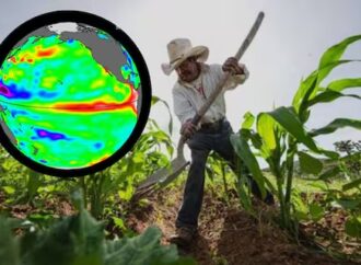 Súper Niño amenaza al campo de Sonora con cambios en lluvias y temperaturas