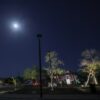 Sheinbaum atribuye apagones en Sonora y otros estados al aumento de demanda eléctrica