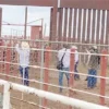 EE.UU. evalúa puerto de Nogales para reanudar importación de ganado mexicano