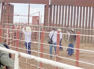 EE.UU. evalúa puerto de Nogales para reanudar importación de ganado mexicano