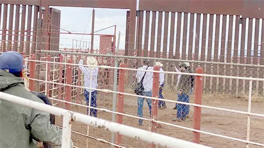 EE.UU. evalúa puerto de Nogales para reanudar importación de ganado mexicano