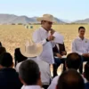 Sonora lidera el crecimiento del campo en el norte del país con avance de 12.6%