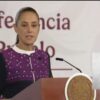 Sheinbaum impulsa primera jornada nacional de reforestación; Sonora se suma con acciones en Hermosillo