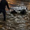 Motociclista es rescatado tras ser arrastrado por un arroyo durante lluvias en Nogales