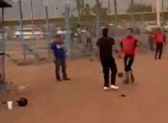 Riña en campo de beisbol moviliza a ligas y autoridades deportivas