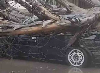 Árboles, cables y estructuras caídas en distintos puntos de Obregón es el saldo de fuertes vientos y lluvias