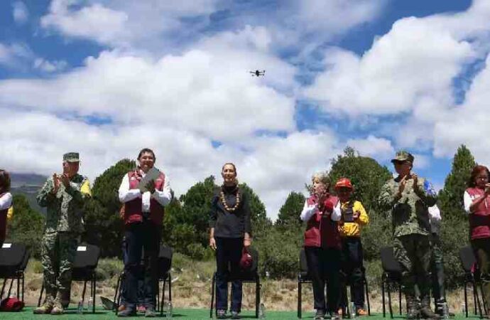 Sheinbaum arranca jornada nacional de reforestación y Sonora se suma