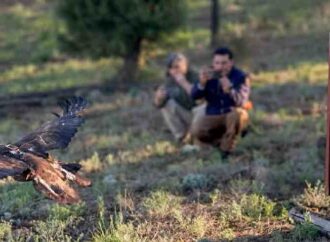 Participan estudiantes de la UES en la conservación del águila real