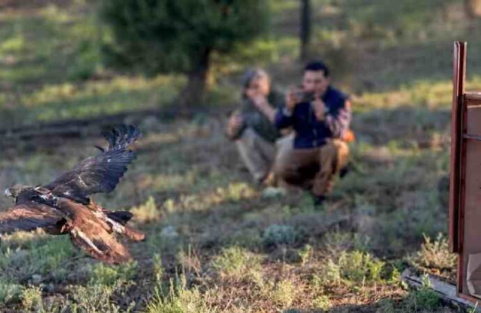 Participan estudiantes de la UES en la conservación del águila real